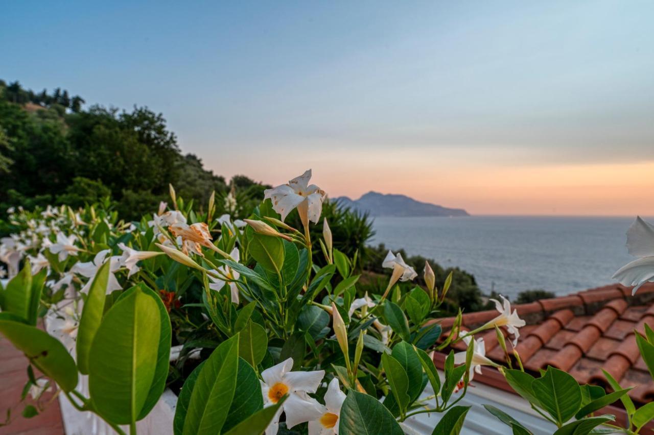 Villa Il Canto Delle Sirene Marciano